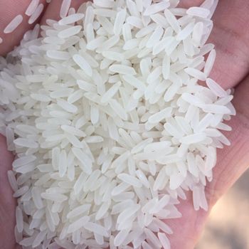 Bulk Long Grain White Rice With High Purity White Rice Ensuring Reliable Supply For Export And Food Industry Buyers - THE GREEN INTERNATIONAL LIMITED - Tanzania