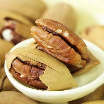 Pecan Nuts High Quality Grade Raw Organic Fresh Crop of Pecan Pieces in 30 Lbs Bulk and Vacuum Bag - CPW TRADE LTD - United Kingdom