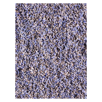 Wholesale price organic lavender flower raw offered for herbal and aroma supply - Leta Trading sprl - Poland