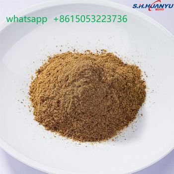meat bone meal - qdshhy - China