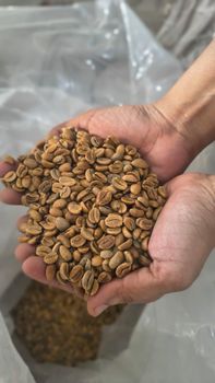 Coffee Beans - Loka Cipta Internasional - Indonesia