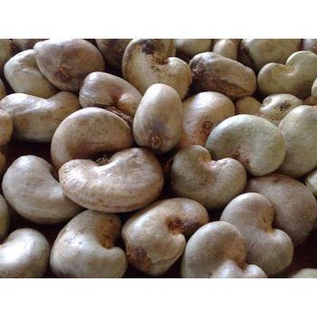 Natural Raw Cashew Nut from SILVERSTONE IMPORT AND EXPORT LIMITED Natural Raw Cashew Nut - SILVERSTONE IMPORT AND EXPORT LIMITED - Tanzania
