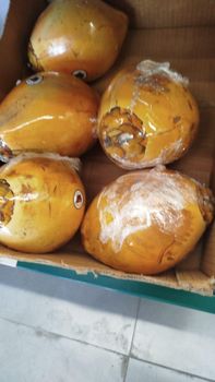 Coconut - Oguntodu Michael corporate services limited  - Nigeria