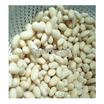 Hot selling Lima beans for sale Grade Top Shape bean Style Fresh Packaging PP pag Intended Use Food Product Type Butter Beans - TRADE NEPAL LLC - United States