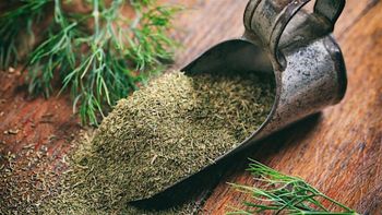 Dried Dill - Green Alliance Company - Egypt