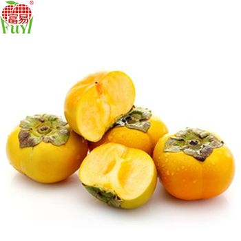 Chinese Fresh Hard Persimmon Fruit on sale Style Fresh Shape Oblate Grade Grade 1 Type PERSIMMON Brand Name FUYI Weight (kg) - Guangdong Fuyi Agricutural Group Co., Ltd. - China