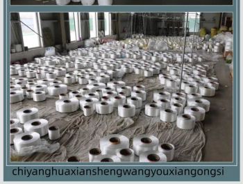 Industrial Safety Pilot Ladder Braid Rope Color White Certification ISO Trademark chiyang HS Code 7326191000 Fixed Mode Two-point - Binzhou Chiyang Chemical Fiber Rope Net Co., Ltd. - China