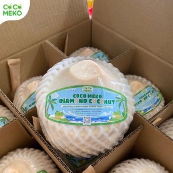 Diamond cut Coconut (Fresh young coconut) - MEKONG DELTA AGRICULTURAL EXPORT IMPORT COMPANY LIMITED - Vietnam