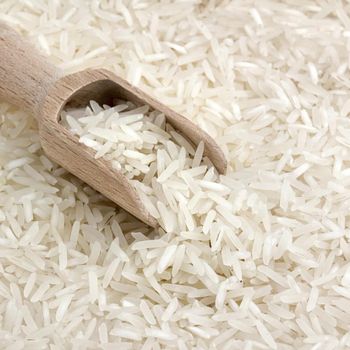 Organic Farm Harvest Jasmine Rice Prepared For Export With Clean Processing And Secure Packaging - malter group - Tanzania