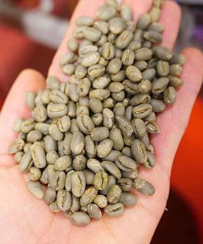 Green Coffee Beans - ABC - Vietnam