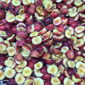 Top Grade IQF Fruit Pitted Frozen IQF Plum Cut Origin China Storage Frozen Color Black;Red Specification Whole Freezing Process - Shanxi Jiemaotong Import and Export Co., Ltd - China