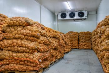 Potatoes – product photo, Potatoes products found from trusted suppliers, wholesalers, manufacturers & exporters Listing