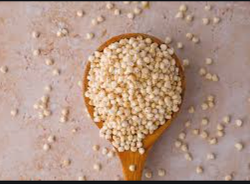 Premium Quality Millet Grain – 100% Natural & Non-GMO | High Fiber, Gluten-Free Whole Grain | Bulk Supply for Export, Food Industry & Animal Feed - TRADE NEPAL LLC - United States