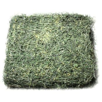 Buy High Quality Timothy Hay Bales, Alfalfa Hay In Cheap Price - GOLDEN STAR BV - South Africa
