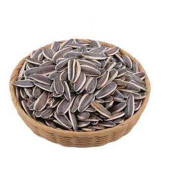 Sunflower Seeds Kernels Premium Bulk Roasted Affordable Snack High Protein Wholesale Packs for Families and Offices from A.C.P. AGRICULTURE COMPANY LIMITED Sunflower Seeds Kernels Premium Bulk Roasted Affordable Snack High Protein Wholesale Packs for Families and Offices - A.C.P. AGRICULTURE COMPANY LIMITED - Thailand