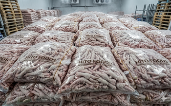 Chicken feet / Chicken paws - HITO Global Trade Partner LTD. - United Kingdom