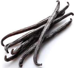 Premium Uganda Vanilla Beans from Pearl Organic Farm Produce Uganda Premium Uganda Vanilla Beans - Pearl Organic Farm Produce Uganda - Uganda