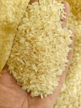 Basmati Rice from San Enterprises Basmati Rice – product photo, Broken Basmati Rice products found from trusted suppliers, wholesalers, manufacturers & exporters Listing