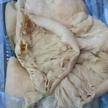 Frozen and Dry Omasum Premium Quality Cleaned Hygienic Processed Beef Offal Export Standard Natural Taste Rich Nutrition Supply Direct - Carla Pisselli Commercio - Brazil