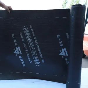 Torch on Waterproof Membrane Sbs Modified Bituminous Sheet Asphalt Bitumen Waterproofing Roofing Waterproof Membrane - Cangzhou Jiansheng Building Waterproof Material Co., Ltd. - China