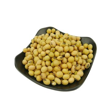 50kg Bag Sprouting and Food Grade Dry Yellow Soybean Seed Non Gmo Soybeans - Hebei Nihewan Agricultural Development Co., Ltd. - China