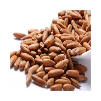 Pecan nuts bulk supply wholesale cheap price premium quality - AMAC GOLD AND DIAMOND METALS SUPPLIER - Germany