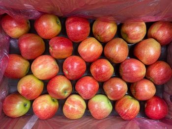 Premium Gala Apples from South Africa! CLASS 1 Export Quality! NEW CEOPS!! Excellent packing - NINE FRUITS EXPORTS (PTY) LTD - South Africa
