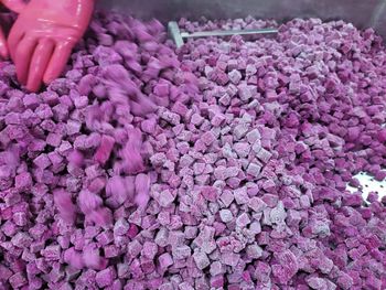 Frozen Dragon Fruit - Toan My International Trading Investment Joint Stock Company - Vietnam