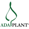 Product - ADA PLANT FIDANLIK URETIM VE TICARET A. S. - Turkey