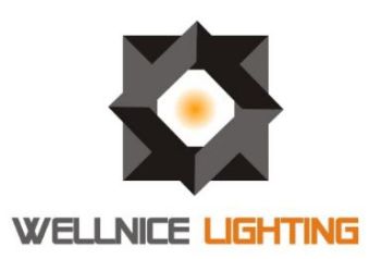 Product - Zhongshan Wellnice Lighting Technology Company Limited - China