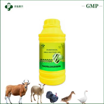 GMP Certification Veterinary Pharmaceutical Antibiotic Drug Florfenicol Oral Solution 10% 20% 30% Vet Medicine for Cow Cattle Sheep Goat - Shanghai Ganglu Huinong Biotechnology Co., Ltd. - China