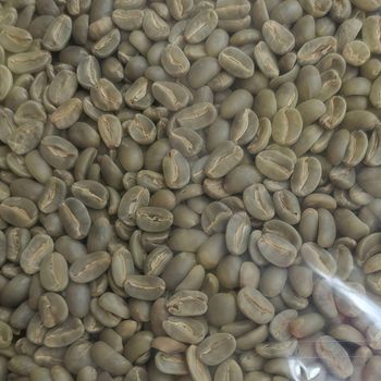 Green Coffee Beans from PT. Nira International Resources Green Coffee Beans – product photo, Long Green Beans products found from trusted suppliers, wholesalers, manufacturers & exporters Listing