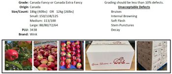 Apple – product photo, Fresh Orange Fruit products found from trusted suppliers, wholesalers, manufacturers & exporters Listing