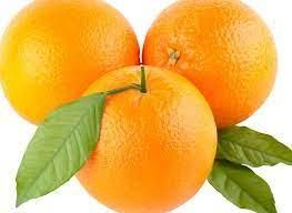 Fresh Sweet Mandarin Orange Citrus Fruit Oranges and Tangerines Fruit - BF GLOBAL TRADING (PTY) LTD - South Africa