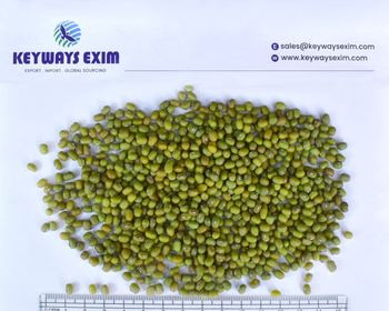 GREEN MUNG BEAN Admixture Less Than 0.5% Crop Year Latest Harvest Moisture Content Below 12% Processing Type MACHINE CLEANED - keyways exim - India