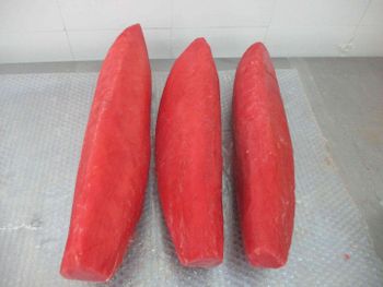 Frozen Yellowfin Tuna Loin/Steak/Saku/Cube Origin Viet Nam Minimum Order 10 Tons Minimum Order Quantity 10 Tons Quality Grade A, AA, AAA, A, Aa, Aaa - Thao Vien Seafood Import and Export Ltd Company - Vietnam