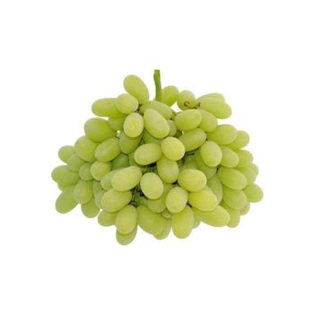 Wholesale fresh seedless grapes bulk supply premium quality perfect for supermarkets and fruit vendors - AFRIVET TRADING SERVICES - South Africa