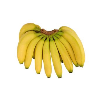 Wholesale Fresh plantain Bananas Raw plantain Banana for sale - Mundus Exports Pty Ltd - South Africa