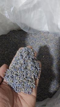 LAVENDER FLOWER TEA Primary Herb Lavender Caffeine Content Caffeine-free Packaging AS PER THE DISCUSSION Intended Use Sleep And Relaxation - APEX GLOBAL TRADE - India