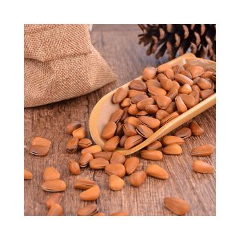 Wholesale Pecan nuts bulk supply affordable price fresh high quality - afrivett@gmail.com - South Africa