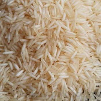 Pure 1121 Basmati Rice High Quality Aromatic Long Grain Rice Cheap Bulk Wholesale Supply from A.C.P. AGRICULTURE COMPANY LIMITED Pure 1121 Basmati Rice High Quality Aromatic Long Grain Rice Cheap Bulk Wholesale Supply - A.C.P. AGRICULTURE COMPANY LIMITED - Thailand