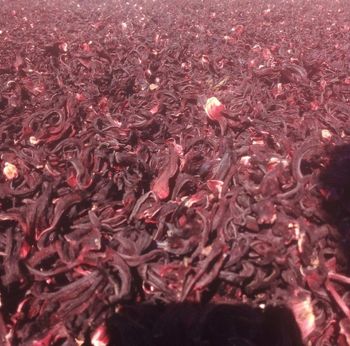 Dried Hibiscus petals broken Grade First grade level from Malawi Packaging Details Packaged in 55kg bags Processing Type Undergoes grinding to break into fine particles - AJCROPING. CO. - Malawi