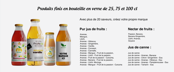 Juice Pineapple - ART LOG MAROC - France