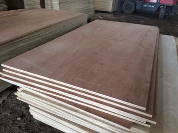 BINTAGOR PLYWOOD 11/11.5mm with best price - KE GO COMPANY LIMITED - Vietnam