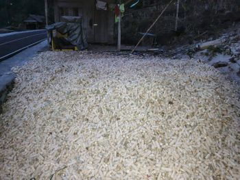 corn cobs - CV LEMBE ARGO EKSPOR - Indonesia