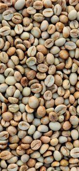 Agriculture, Food & Beverage – product photo, Food Beverage products found from trusted suppliers, wholesalers, manufacturers & exporters Listing