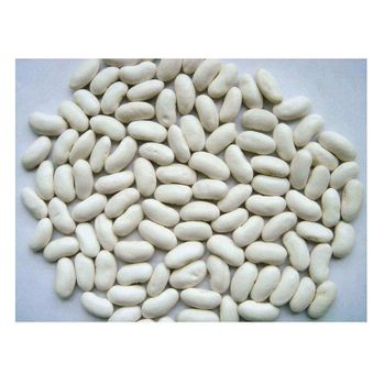 High Quality Organic Dried White Kidney Beans Available For Sale At Low Price - Exigentelaxia Unipessoal Lda - Portugal