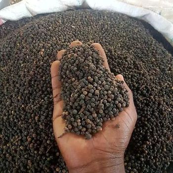 Spices like cardamom, ginger,cloves and black pepper - IJAD AGRO BUSINESS - Tanzania