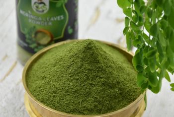 Moringa Powder - Bumi Organic Exim - India