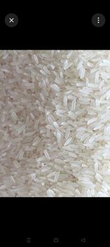 Jasmine Rice - Marviro expor - United Arab Emirates